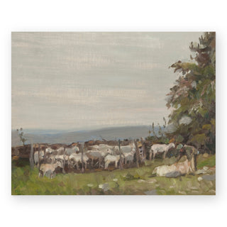 sheep-shearing-james-hargreaves-morton-art-print_Featured