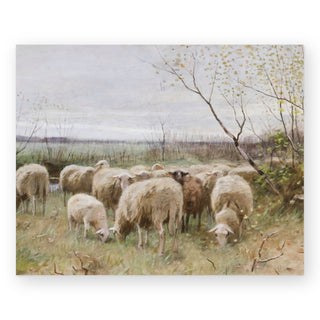 sheep-watercolor-art-print_Featured