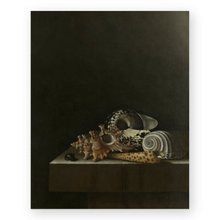 shells-on-a-stone-plinth-art-print_Featured