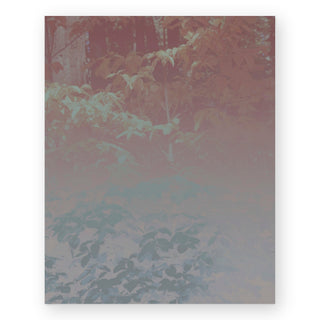 silk-trees-i-hope-bainbridge-art-print_Featured