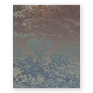 silk-trees-iii-hope-bainbridge-art-print_Featured