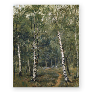 silver-birches-art-print_Featured