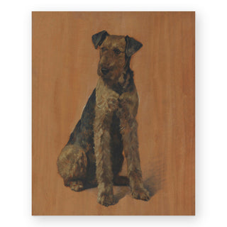 snapps-an-airedale-terrier-art-print_Featured