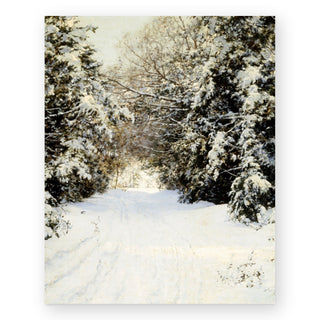 snow-laden-trees-art-print_Featured