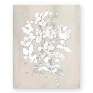 soft-bloom-art-print_Featured