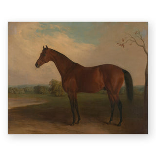 sovereign-art-print_Featured