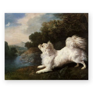 spaniel-chasing-a-butterfly-art-print_Featured