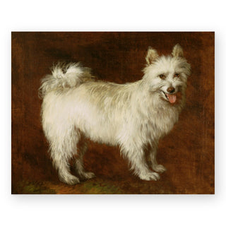 spitz-dog-art-print_Featured