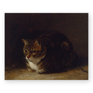 study-of-a-cat-art-print_Featured
