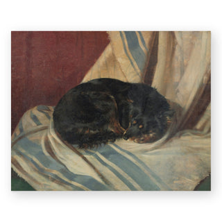study-of-a-dog-lying-down-art-print_Featured