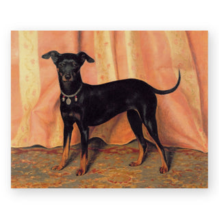 study-of-bijou-a-bichon-terrier-art-print_Featured