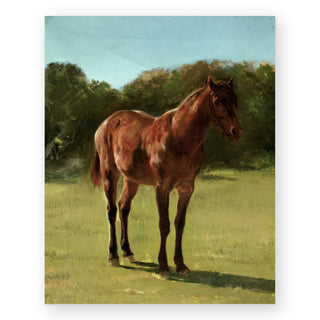 study-of-horse-art-print_Featured