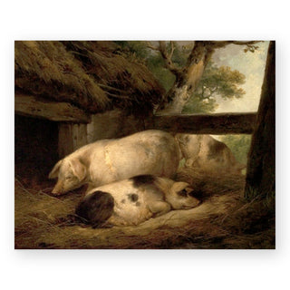 study-of-pigs-art-print_Featured