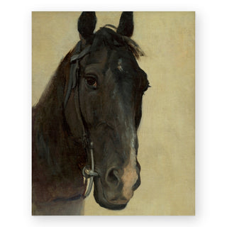 study-of-the-head-of-a-black-horse-art-print_Featured