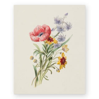 study-of-wildflowers-art-print_Featured