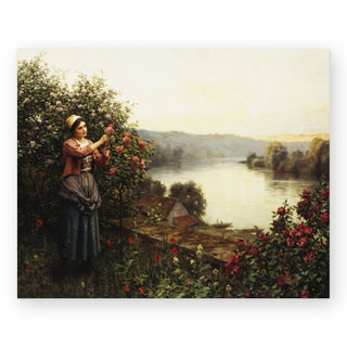 summer-blossoms-knight-art-print_Featured