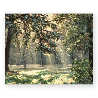 sunlight-in-the-trees-art-print_Featured