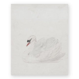 swan-art-print_Featured