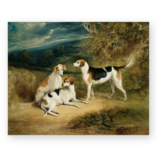 the-duke-of-rutlands-hounds_Featured