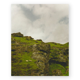 the-grazers-sally-grieshaber-art-print_Featured