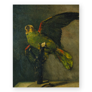 the-green-parrot-art-print_Featured