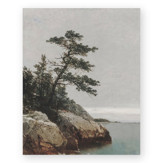 the-old-pine-art-print_Featured