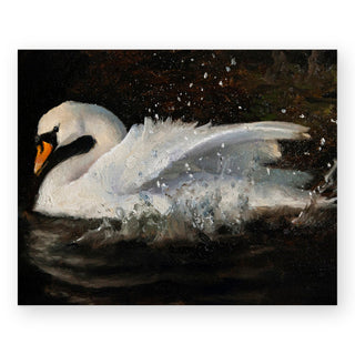 the-swan-art-print_Featured