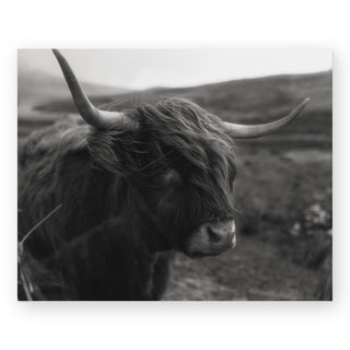 the-wanderer-sally-grieshaber-art-print_Featured