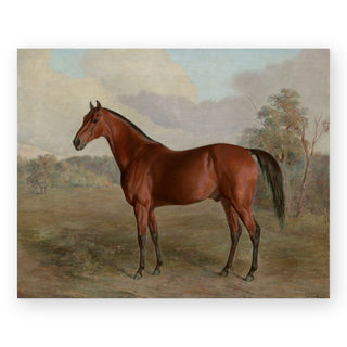 thoroughbred-art-print_Featured