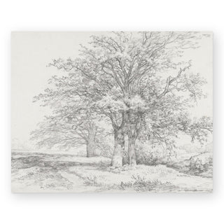 three-trees-sketch-art-print_Featured