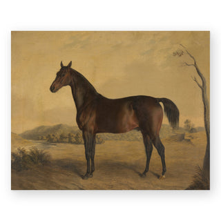 tranby-art-print_Featured