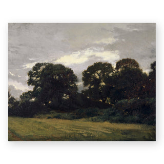 tree-grove-art-print_Featured