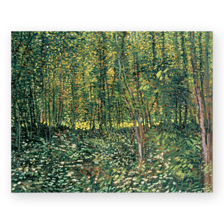 trees-and-undergrowth-art-print_Featured