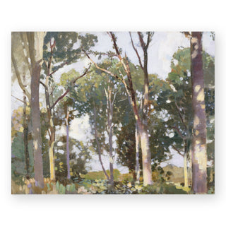 trees-in-sunlight-art-print_Featured