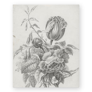 tulip-study-art-print_Featured