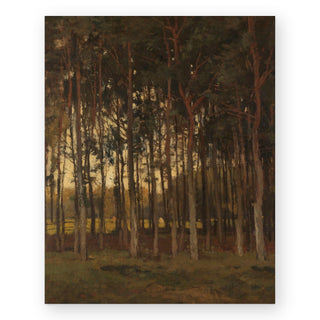 view-in-the-woods-art-print_Featured