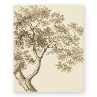 vintage-oak-art-print_Featured