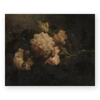 vintage-peonies-art-print_Featured