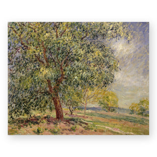 walnut-tree-at-sablons-in-spring-art-print_Featured