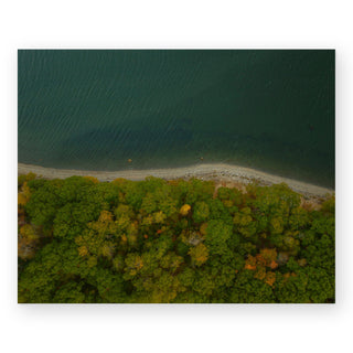 where-forest-meets-the-sea-sally-grieshaber-art-print_Featured