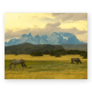 where-the-wild-horses-roam-sally-grieshaber-art-print_Featured