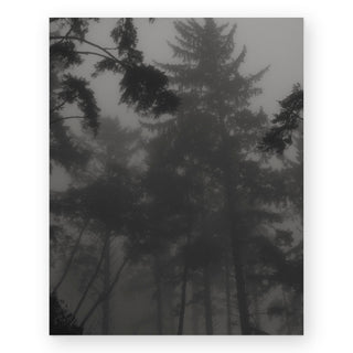 whispers-in-the-fog-sally-grieshaber-art-print_Featured