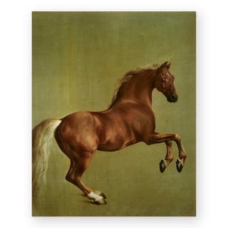 whistlejacket-art-print_Featured