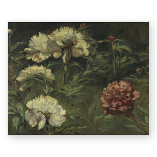 white-and-red-peonies-art-print_Featured