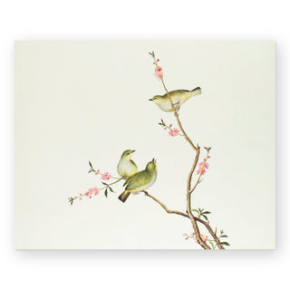 white-eye-bird-art-print_Featured