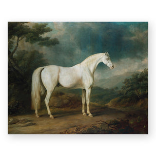 white-horse-in-a-wooded-landscape-art-print_Featured