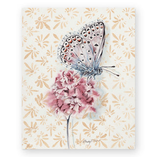 white-peacock-brush-footed-butterfly-art-print_Featured