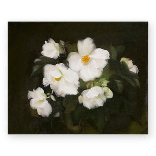white-roses-dark-background-art-print_Featured
