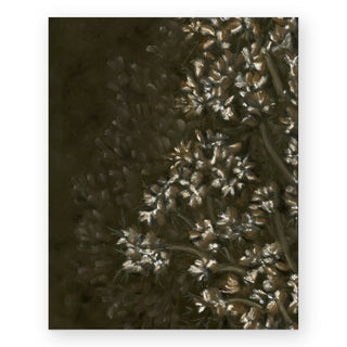 wild-bloom-alice-mathew-art-print_Featured