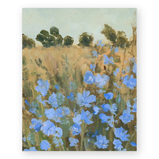 wild-chicory-art-print_Featured